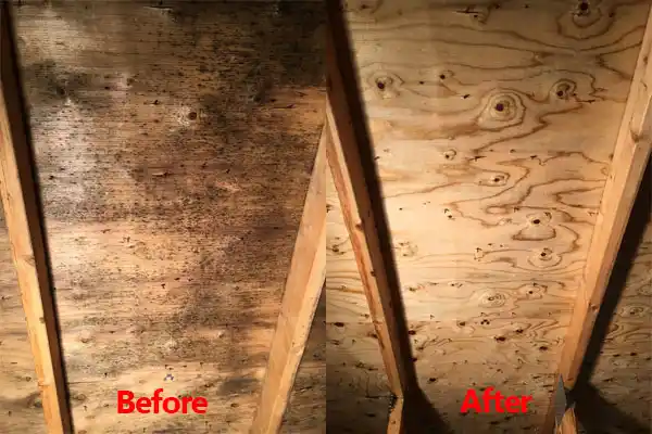 water damage restoration service Cutlerville